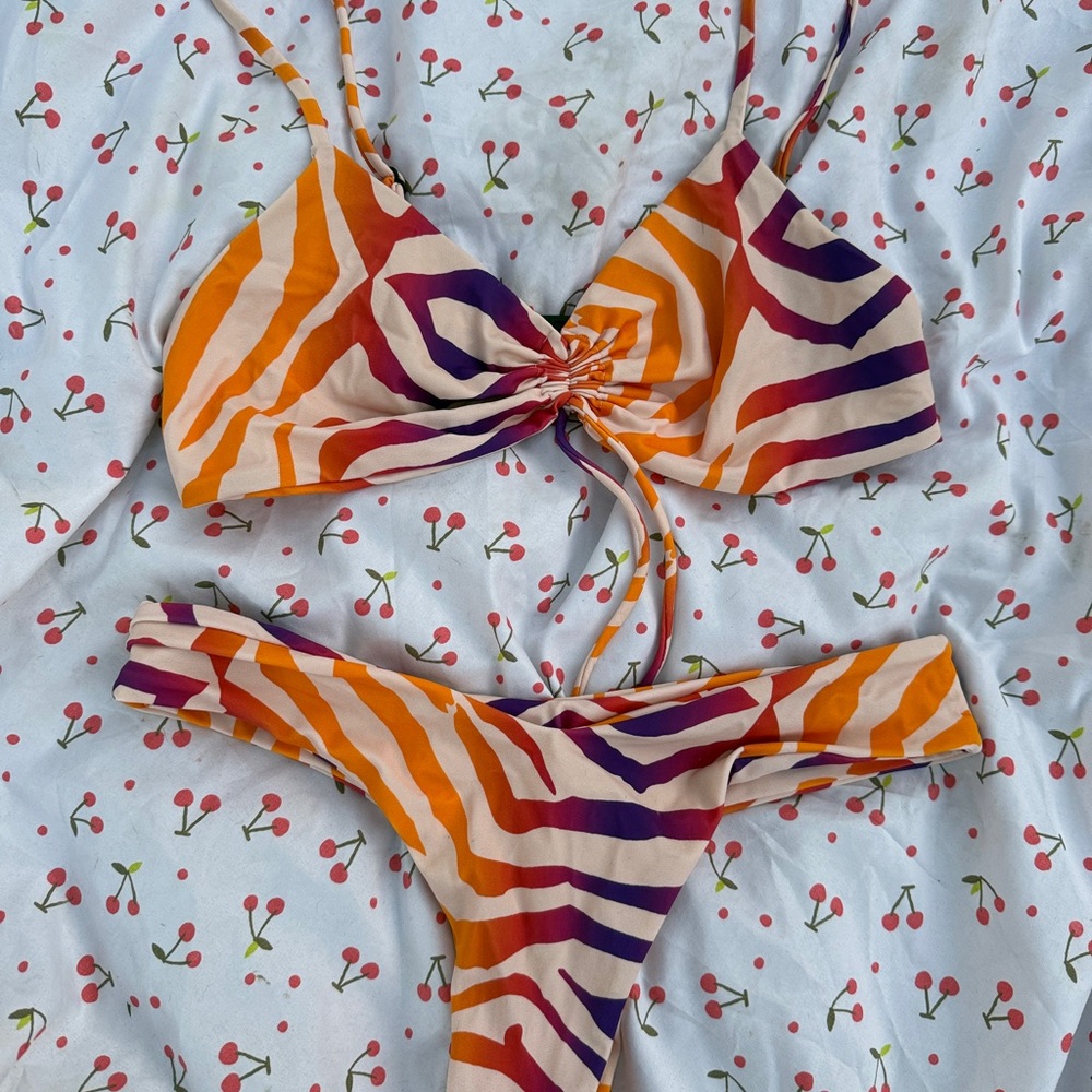 Blackbough Vibrant Zebra Bikini Set